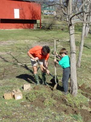 Bulb planting in Waterford Virginia