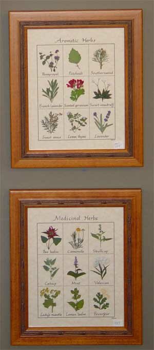 crafts - dried plants