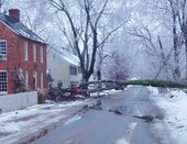 tree down on Second Street